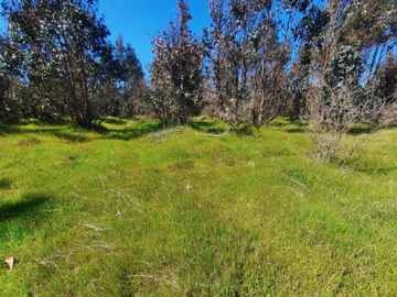 Venta / Parcela / San Nicolás