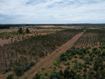 Venta / Parcela / San Nicolás