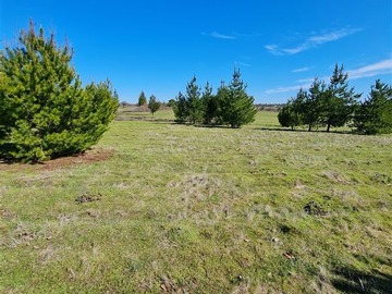 Venta / Parcela / San Nicolás