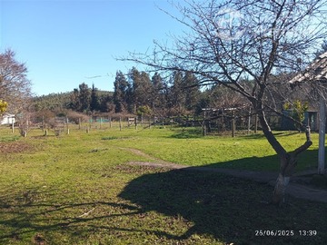 Imagen 6