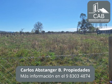 Imagen 5