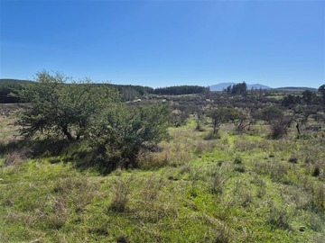 Venta / Parcela / San Nicolás