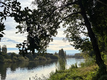 Vista al río Bueno