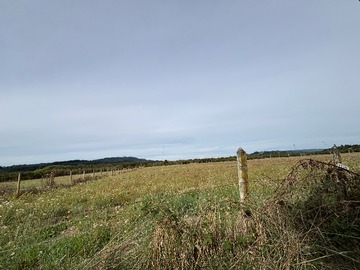 Pradera con cerco tradicional, San Pablo