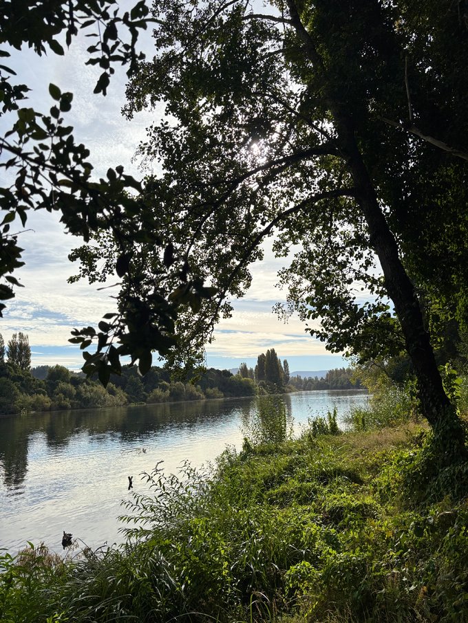 Vista al río Bueno