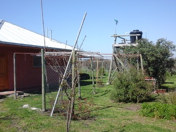Imagen 13