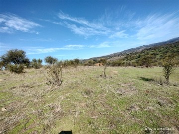Imagen 13