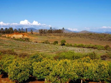 Venta / Parcela / San Pedro