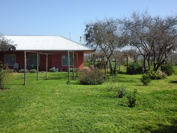 Imagen 11
