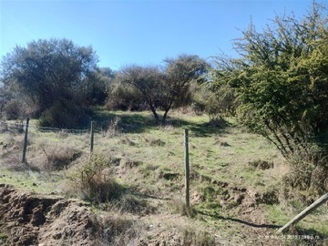 Imagen 17