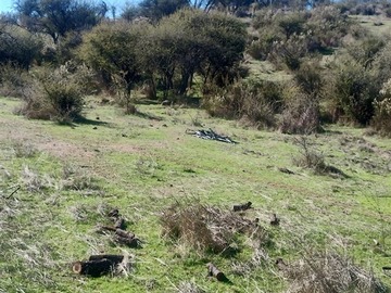 Imagen 19