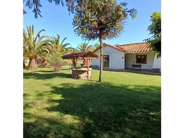 Imagen 21
