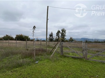 Imagen 10