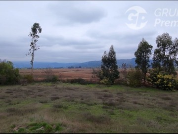 Imagen 7