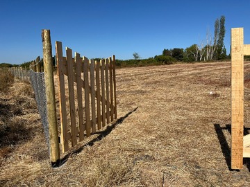 San Rafael, san rafael Image