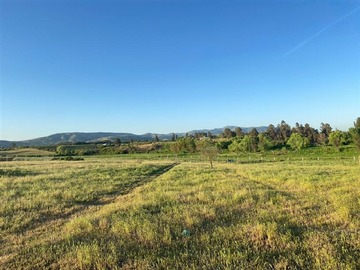 Venta / Parcela / San Rafael