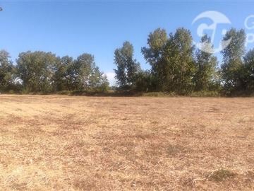 Venta / Parcela / San Rafael