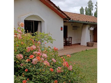 Imagen 38