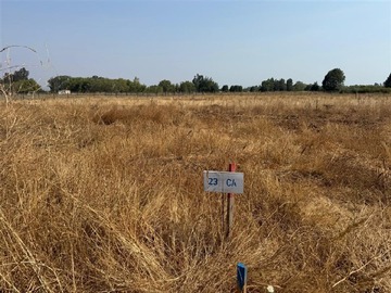 Venta / Parcela / San Rafael