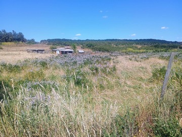 Venta / Parcela / San Rafael