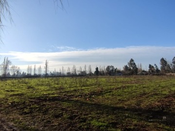 Imagen 9