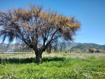Imagen 10
