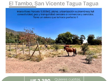 Venta / Parcela / San Vicente de Tagua Tagua