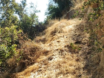 Imagen 11