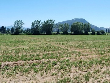 Venta / Parcela / San Vicente de Tagua Tagua
