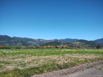 Venta / Parcela / San Vicente de Tagua Tagua