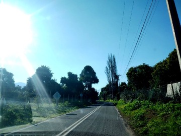 Imagen 11