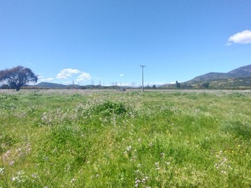 Imagen 9
