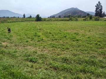 Venta / Parcela / San Vicente de Tagua Tagua