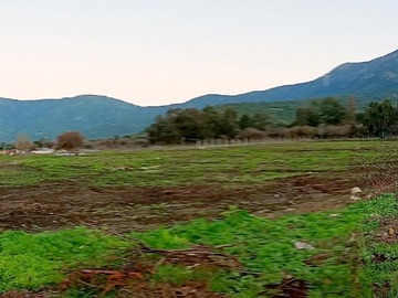 Venta / Parcela / San Vicente de Tagua Tagua