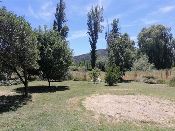 Imagen 5