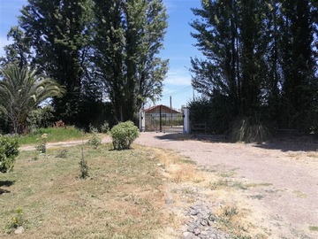 Imagen 11