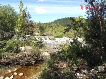 Imagen 6