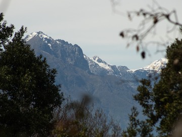 Imagen 6