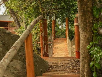 Imagen 9