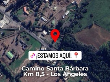 Imagen 17