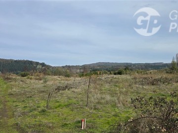 Imagen 26