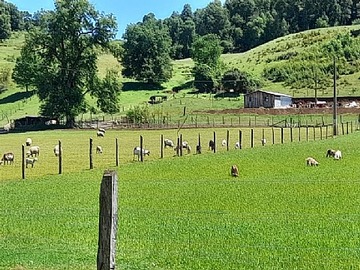 Venta / Parcela / Santa Bárbara