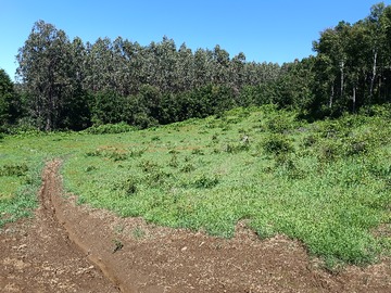 Venta / Parcela / Santa Bárbara