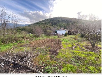 Imagen 13