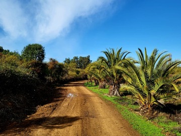 Venta / Parcela / Santa Cruz