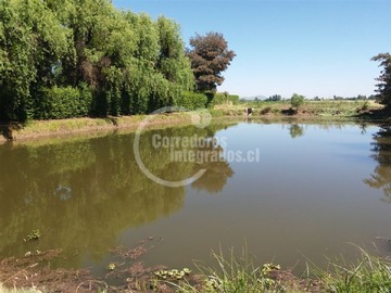 Imagen 13