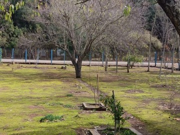 Imagen 9
