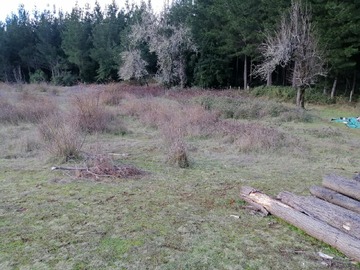 Venta / Parcela / Santa Juana