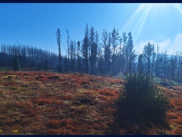 Venta / Parcela / Santa Juana