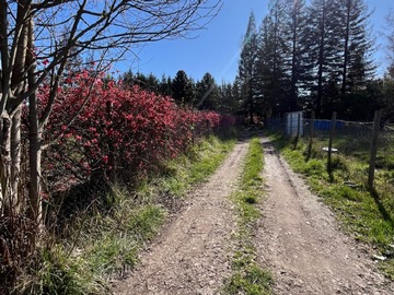 Venta / Parcela / Santa Juana
